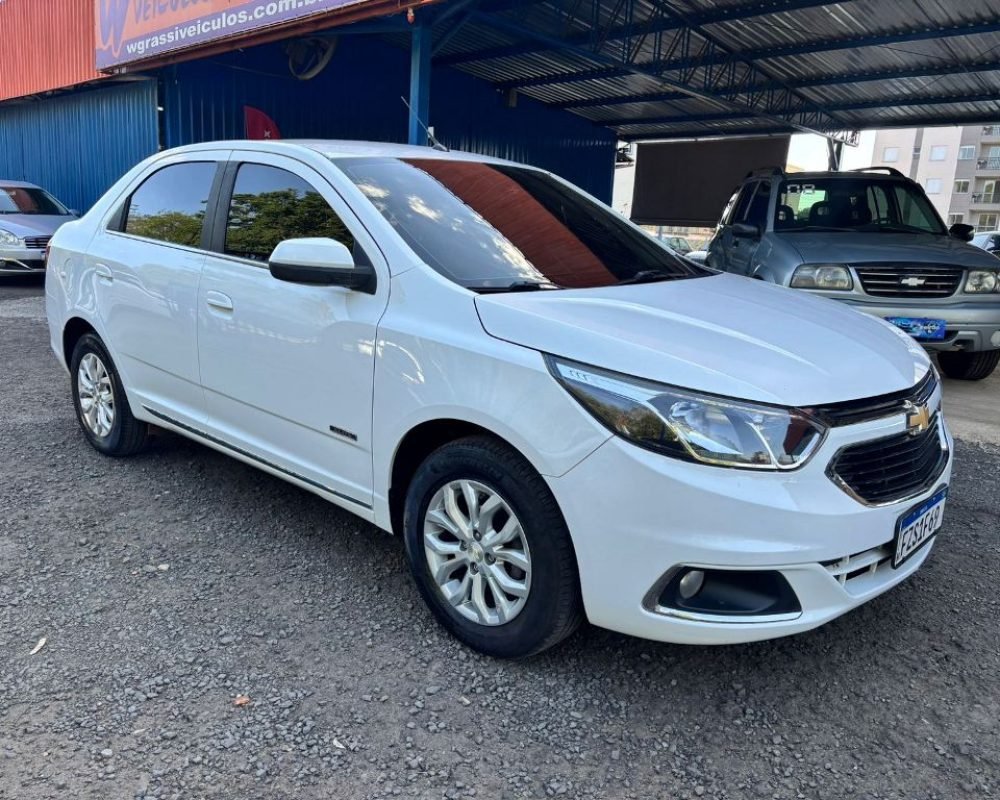 WhatsApp Image 2025-10-27 at 12.13.49 (1)