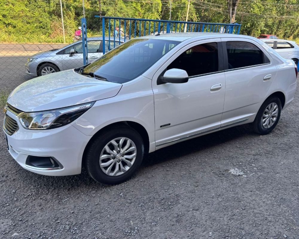 WhatsApp Image 2025-10-27 at 12.13.50