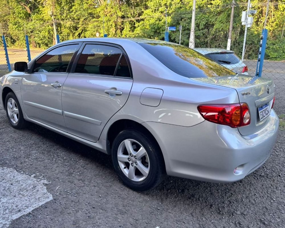 WhatsApp Image 2025-11-12 at 11.56.00