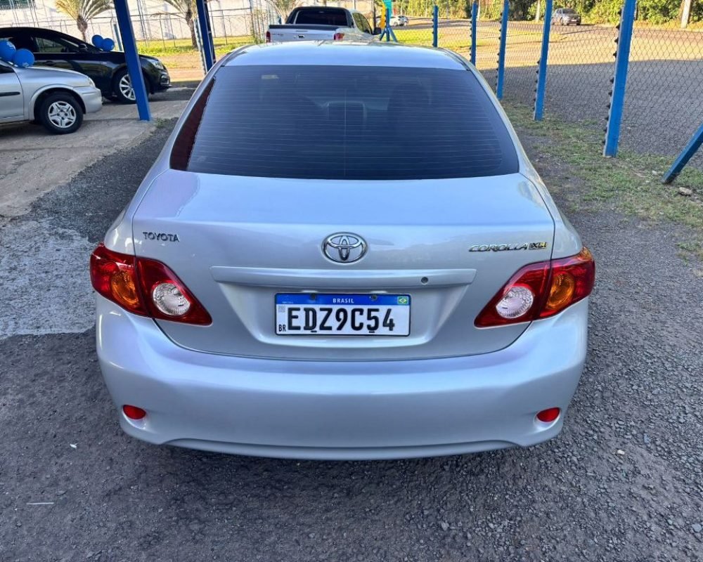 WhatsApp Image 2025-11-12 at 11.56.01