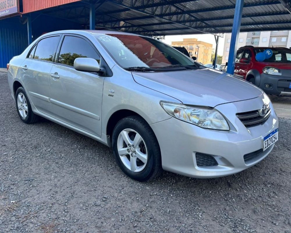 WhatsApp Image 2025-11-12 at 11.56.02 (1)