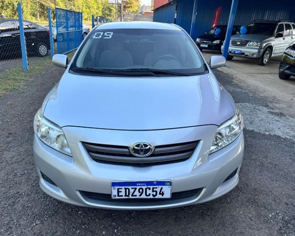 WhatsApp Image 2025-11-12 at 11.56.02