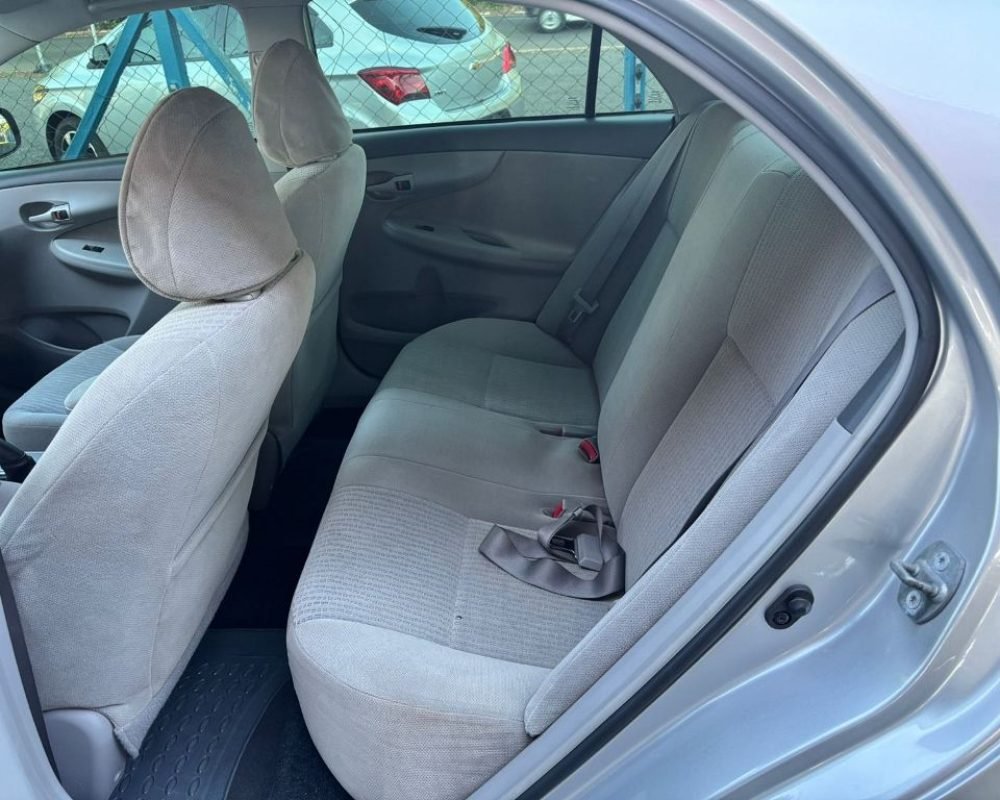 WhatsApp Image 2025-11-12 at 11.56.03