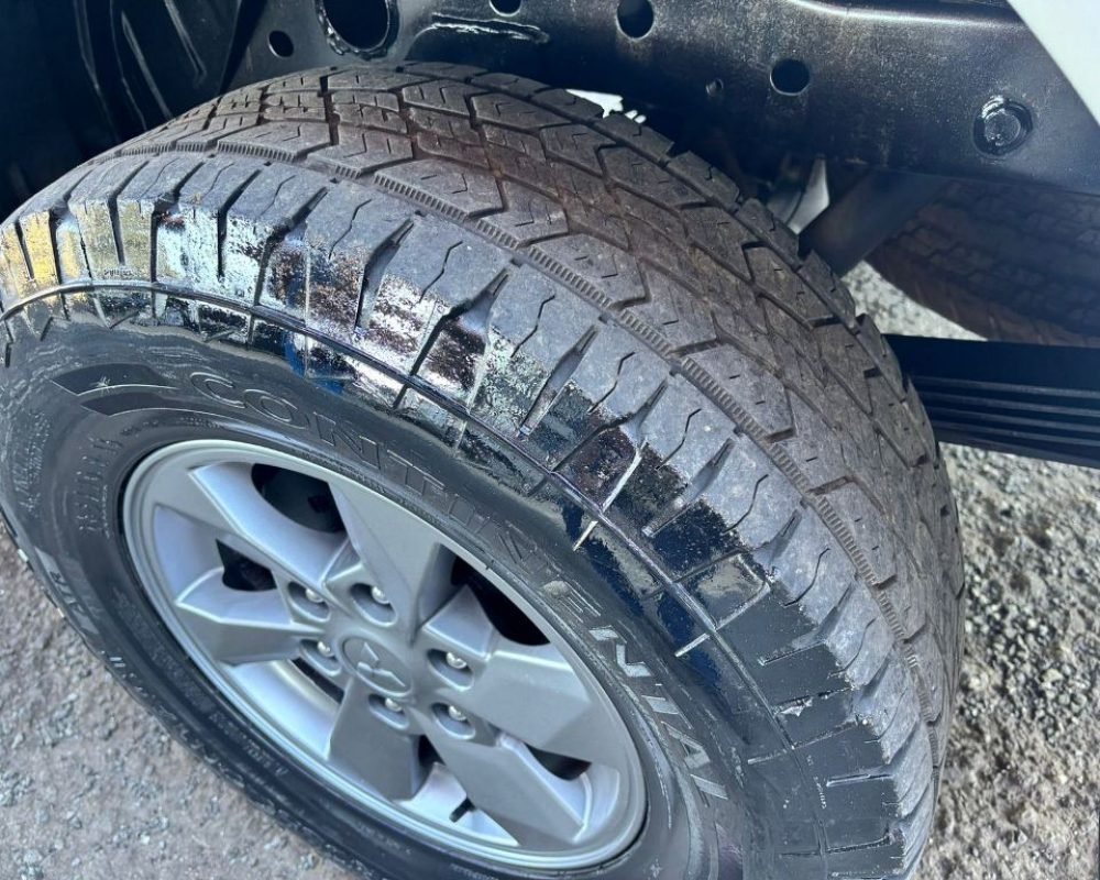 WhatsApp Image 2025-11-12 at 11.56.05