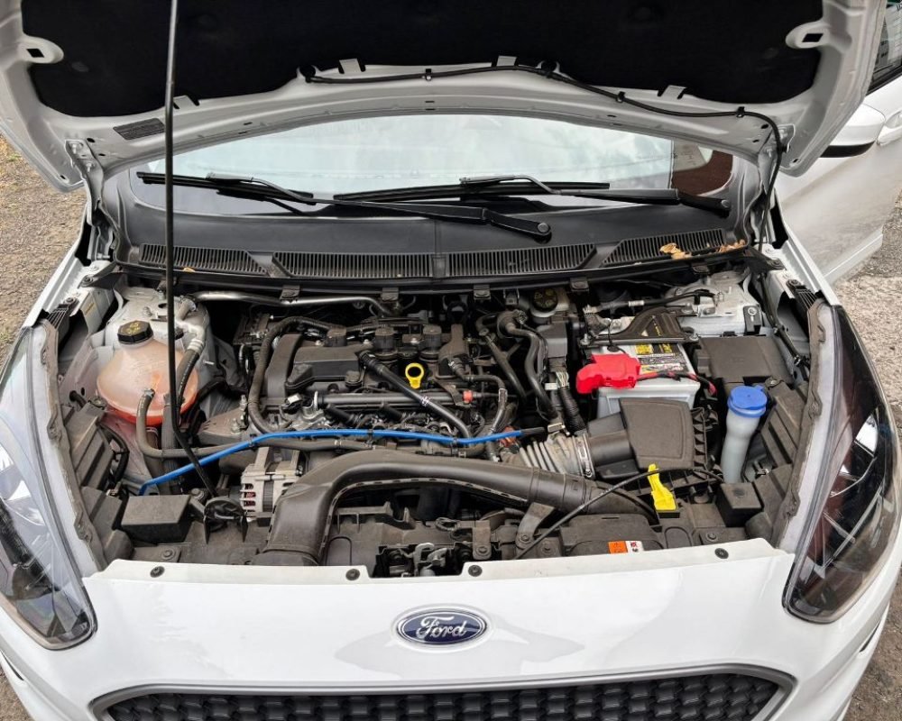 WhatsApp Image 2025-12-01 at 17.21.40 (2)