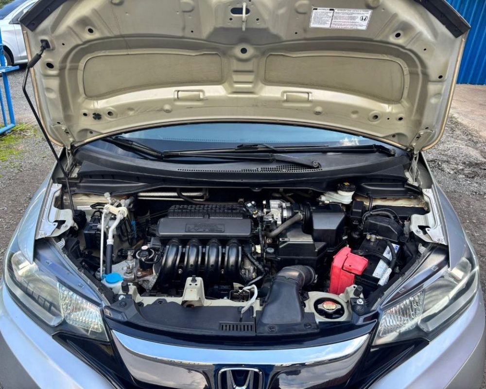 WhatsApp Image 2026-02-06 at 10.57.42